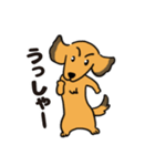 ダックス犬マロン君 02（個別スタンプ：12）