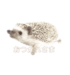 うなちゃんち（個別スタンプ：19）