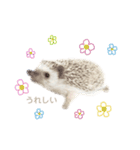 うなちゃんち（個別スタンプ：24）