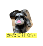 ミニシュナ福太郎②ちょっぴり北海道弁（個別スタンプ：16）