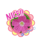 お花で遊ぼう10（個別スタンプ：8）