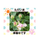 お花で遊ぼう10（個別スタンプ：11）
