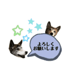 ミックスつくしの日常会話その1（個別スタンプ：2）