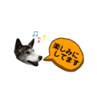 ミックスつくしの日常会話その1（個別スタンプ：7）