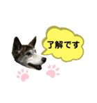 ミックスつくしの日常会話その1（個別スタンプ：8）