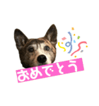 ミックスつくしの日常会話その1（個別スタンプ：9）