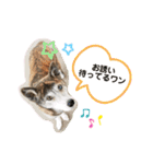 ミックスつくしの日常会話その1（個別スタンプ：11）