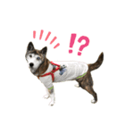 ミックスつくしの日常会話その1（個別スタンプ：18）