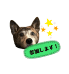 ミックスつくしの日常会話その1（個別スタンプ：19）