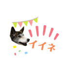 ミックスつくしの日常会話その1（個別スタンプ：22）