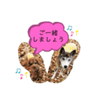 ミックスつくしの日常会話その1（個別スタンプ：24）