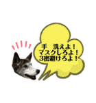 ミックスつくしの日常会話その1（個別スタンプ：26）