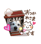 おじドラにゃん（個別スタンプ：7）