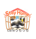 cafeうちっち（個別スタンプ：9）