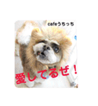 cafeうちっち（個別スタンプ：12）