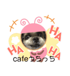 cafeうちっち（個別スタンプ：25）