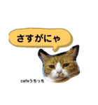 cafeうちっち（個別スタンプ：26）