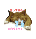 cafeうちっち（個別スタンプ：28）