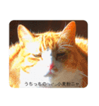 cafeうちっち（個別スタンプ：32）