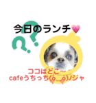 cafeうちっち（個別スタンプ：33）