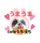 cafeうちっち（個別スタンプ：40）