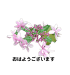 お花が好きな方に使って欲しいです！（個別スタンプ：1）