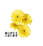 お花が好きな方に使って欲しいです！（個別スタンプ：2）