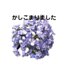 お花が好きな方に使って欲しいです！（個別スタンプ：4）