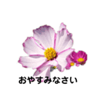 お花が好きな方に使って欲しいです！（個別スタンプ：5）