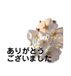 お花が好きな方に使って欲しいです！（個別スタンプ：6）