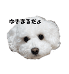 雪丸・雫・雪花ฅ▽・ᴥ・▽ฅ（個別スタンプ：4）
