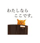 【実写版】猫のまーちゃろ（個別スタンプ：9）