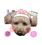 ♡アイドルそらくん♡（個別スタンプ：5）