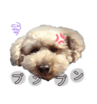 ♡アイドルそらくん♡（個別スタンプ：11）