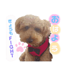 ♡アイドルそらくん♡（個別スタンプ：14）