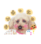 ♡アイドルそらくん♡（個別スタンプ：15）