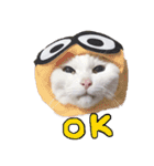 白猫 ももつぁん（個別スタンプ：16）