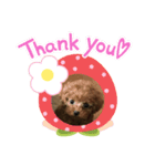 トイプーぷりんの日常使う言葉（個別スタンプ：1）