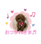 トイプーぷりんの日常使う言葉（個別スタンプ：2）