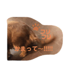 可愛い私の家族（個別スタンプ：3）