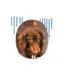 可愛い私の家族（個別スタンプ：4）