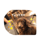 可愛い私の家族（個別スタンプ：5）
