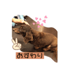 可愛い私の家族（個別スタンプ：8）