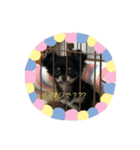 longcortchiwawa（個別スタンプ：7）