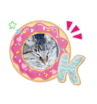 ぽちゃねこ会話（個別スタンプ：18）