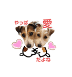 ジャックラッセルテリア・ビネガー（個別スタンプ：4）