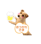 ジャックラッセルテリア・ビネガー（個別スタンプ：19）