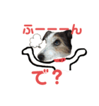 ジャックラッセルテリア・ビネガー（個別スタンプ：36）
