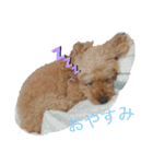 長江家の愛犬たち（個別スタンプ：4）