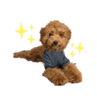 長江家の愛犬たち（個別スタンプ：6）
